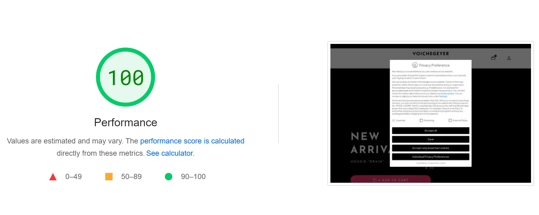 Hoher Performance-Score einer unserer Websites im PageSpeed Insight. 100 von 100.