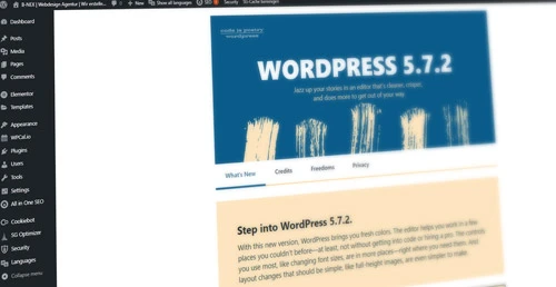 Zeigt das WordPress Dashboard von B NEX